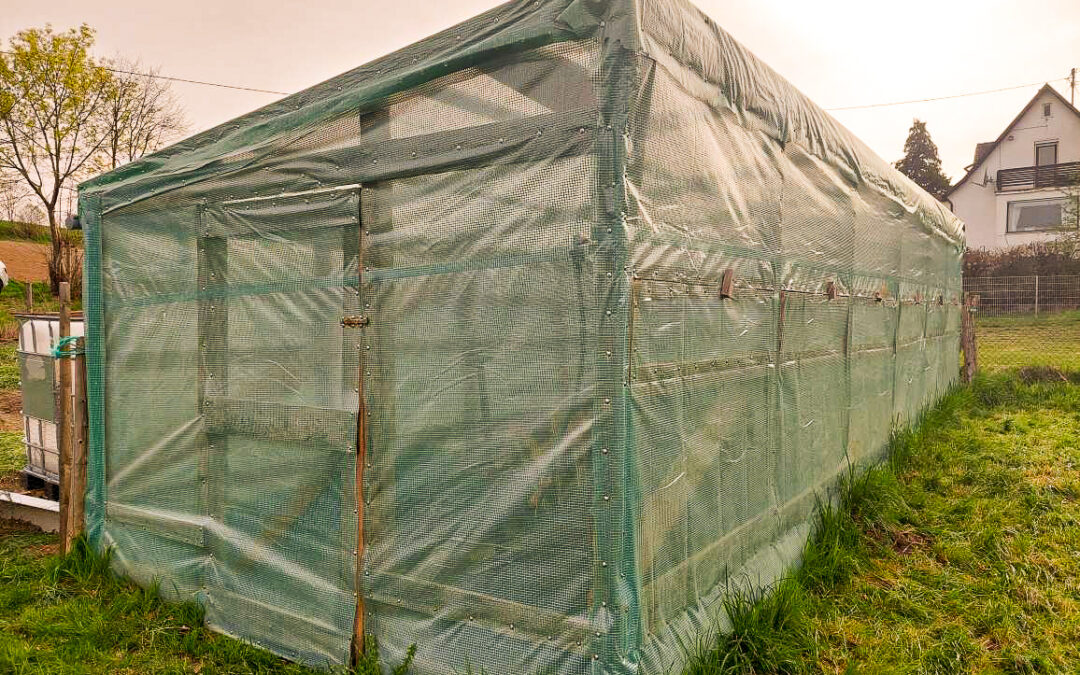 Greenhouse made from scratch