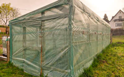 Beginners Guide: How to build a greenhouse from scratch