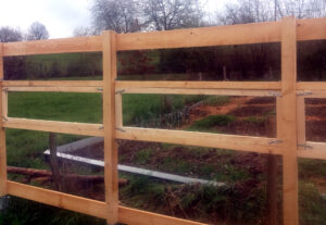 How to build a greenhouse: windows