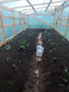 Greenhouse ready for planting