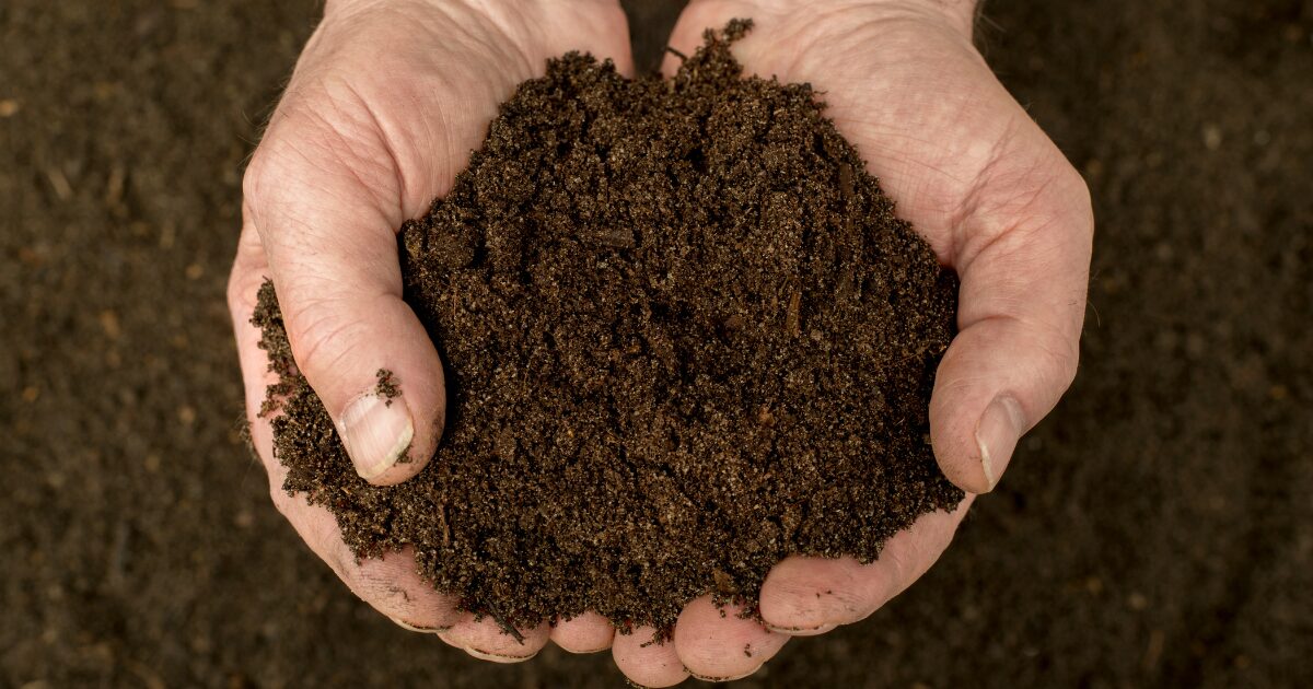 Two hands holding dark, healthy soil