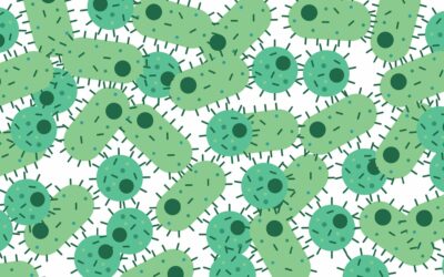 Fermentation problems and what to do