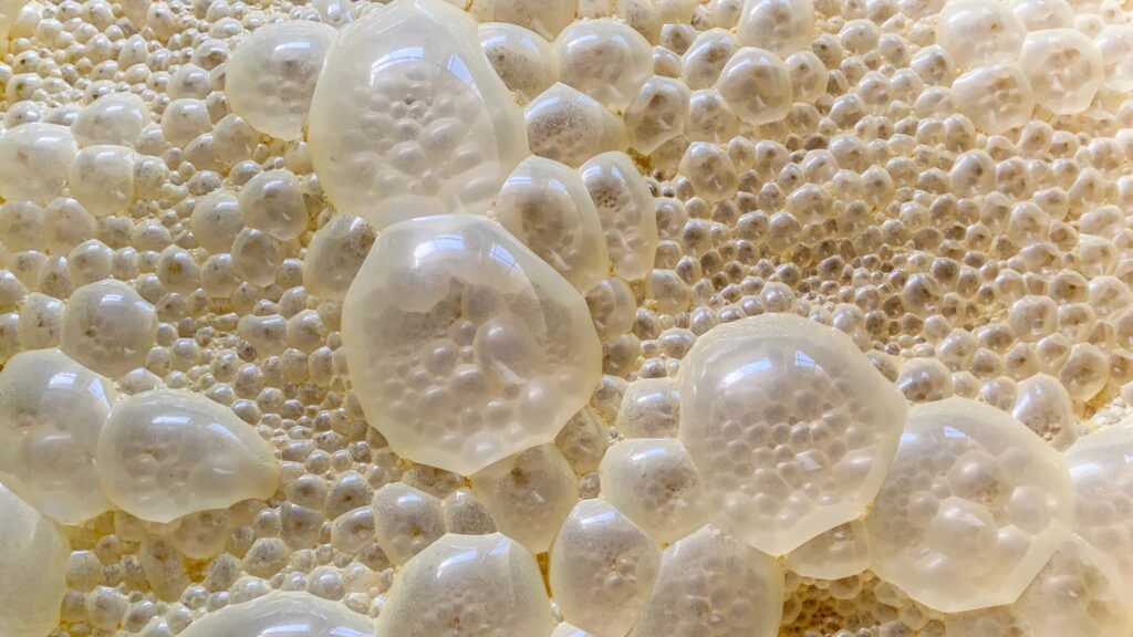 Bubbles on a liquid surface (fermentation)