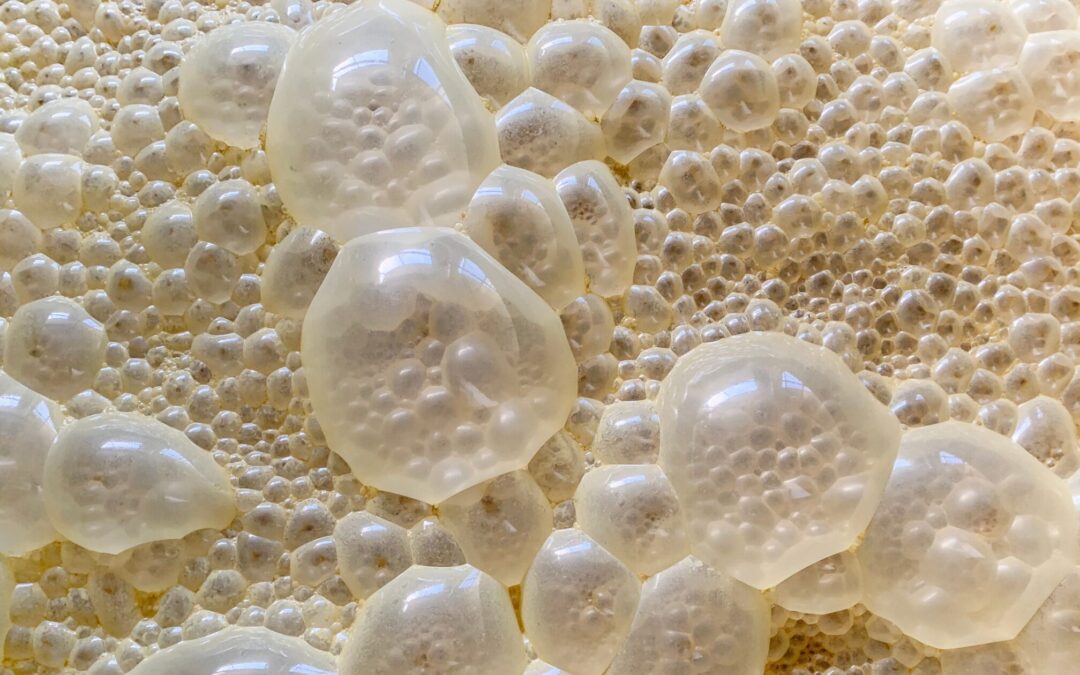 Is My Ferment Safe? How to Identify and Fix Common Fermentation Problems