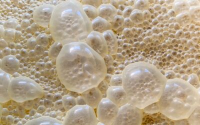 Is My Ferment Safe? How to Identify and Fix Common Fermentation Problems