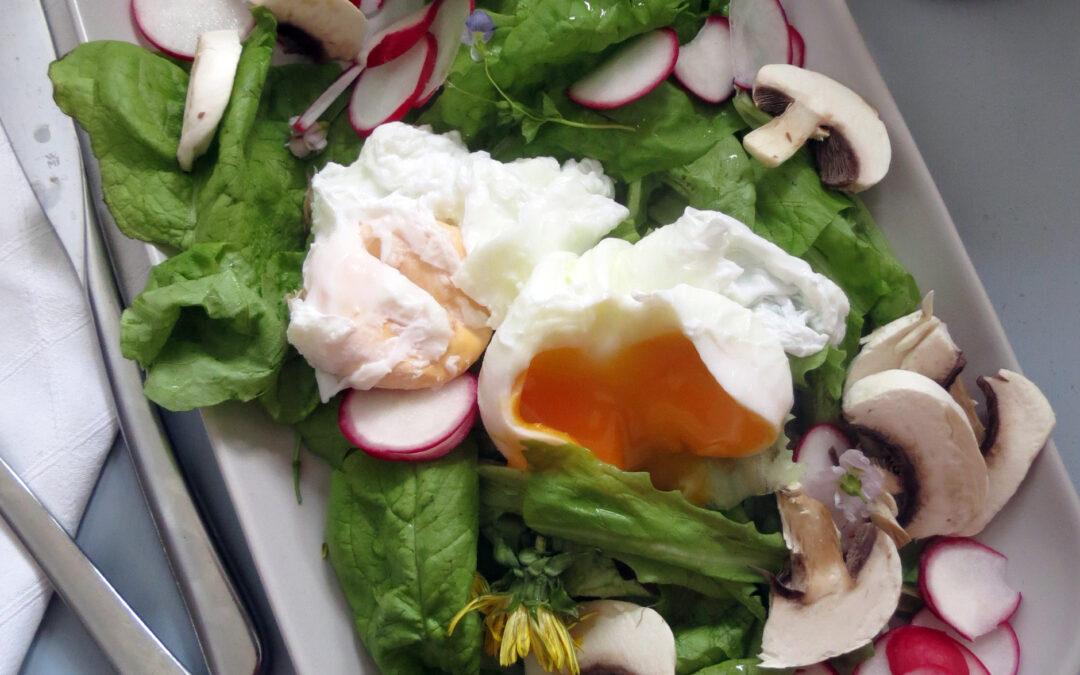 Spring salad with poached egg
