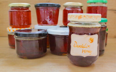 Dandelion honey