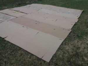 How to make a vegetable patch: Cardboards