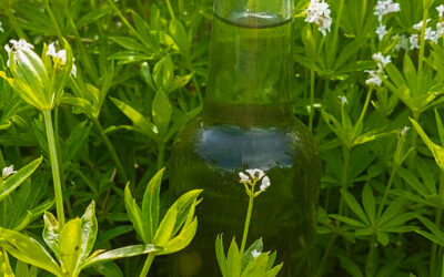 Woodruff syrup