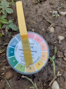 read your pH