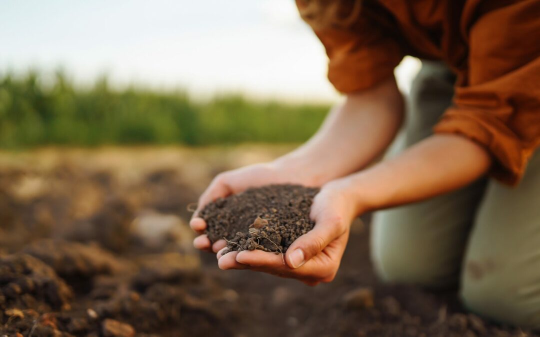 Soil types – How to determine your garden’s soil