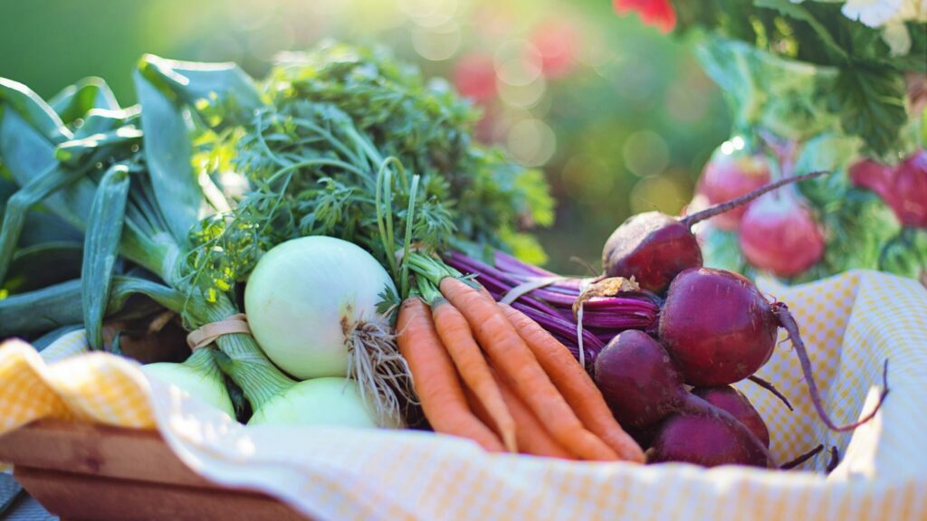 Basket with freshly harvested leek, carrots, beetroot and more
