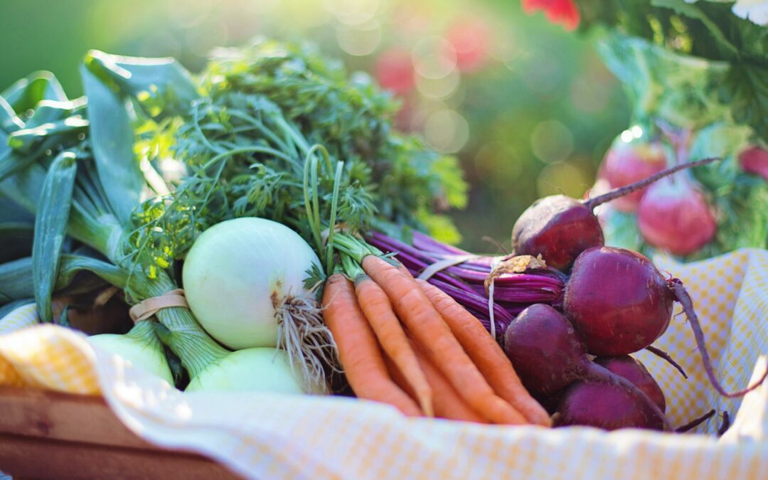 June Vegetable Gardening: What to Seed-Start, Sow, and Plant
