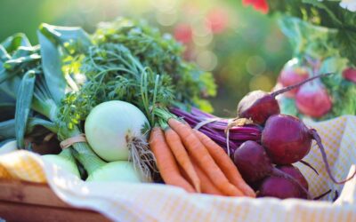 What vegetables to sow and plant in June