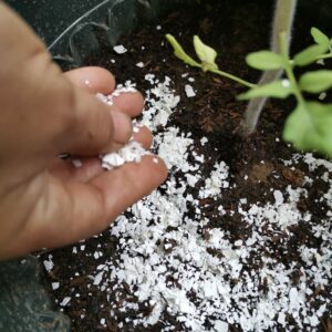 Organic fertiliser