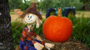 Scarecrow