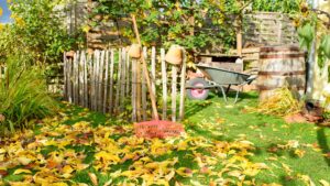 Vegetable garden