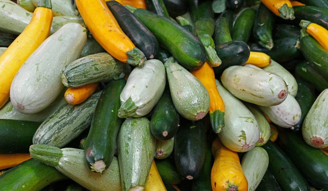 What to Sow and Plant in May: Growing Season’s Prime Planting Window