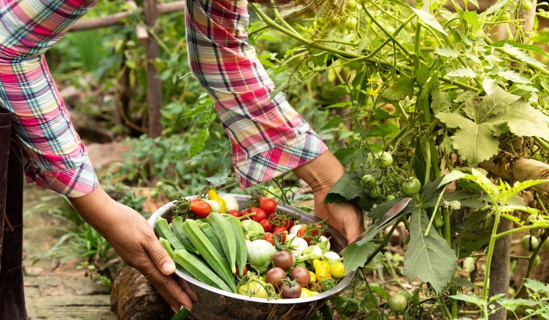 Easy Vegetables for Beginners: 11 Foolproof Crops for Your First Garden in 2025