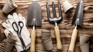 Check your tools: do you have everything you need?