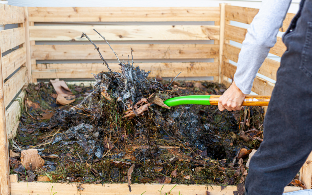 11 Essential Garden Tasks to Tackle in February