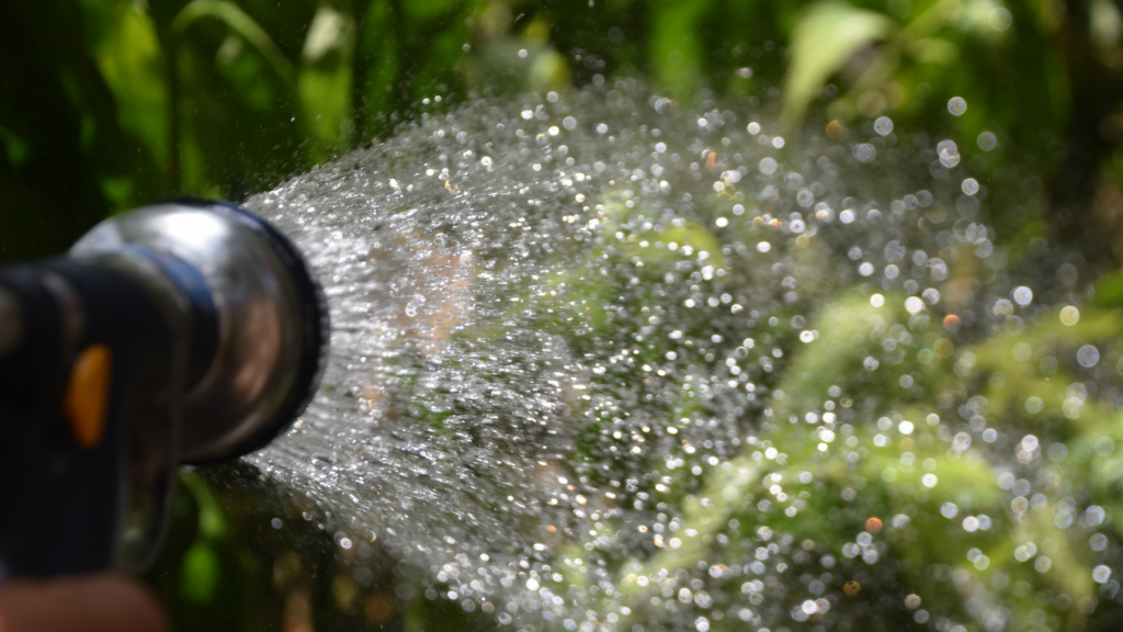 Hose with spray nozzle watering plants