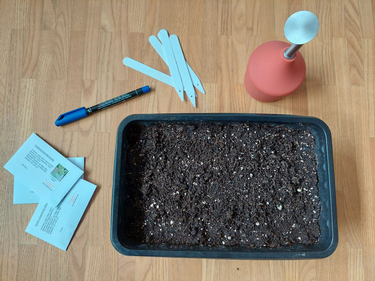 Basic seed starting equipment