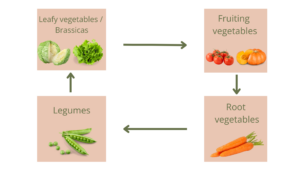 4-year crop rotation by categroy