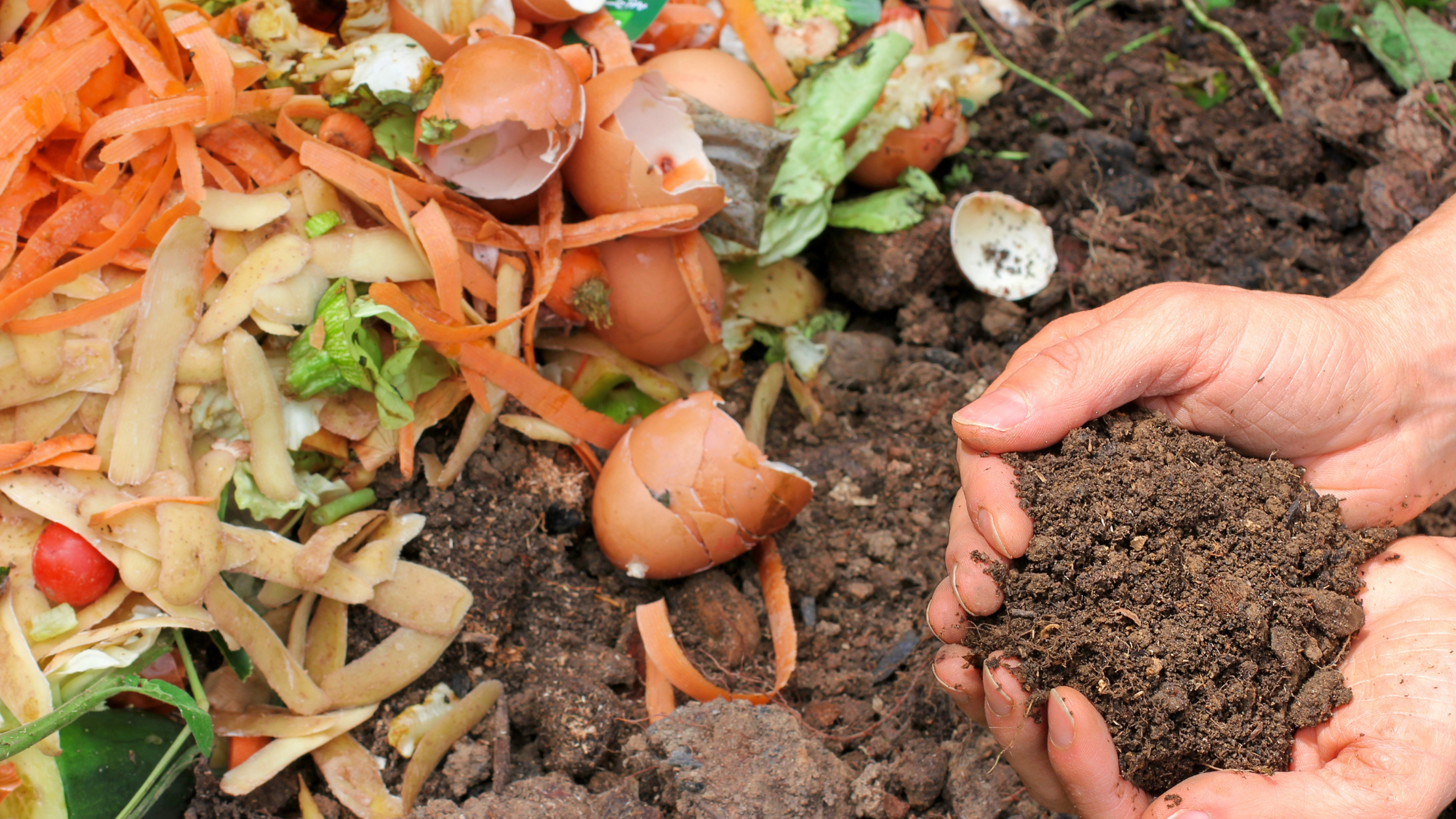 How to make compost