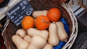 cultivating beginner-friendly pumpkins: hokkaido and butternut