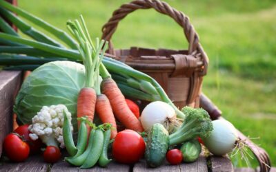 The June Garden Hustle: 10 Tasks Your Plants Are Counting On