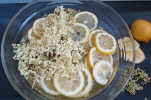 Elderflowers and lemons in sugar syrup to become elderflower syrup