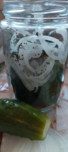 Gherkins, onions, herbs and spices layered in a jar
