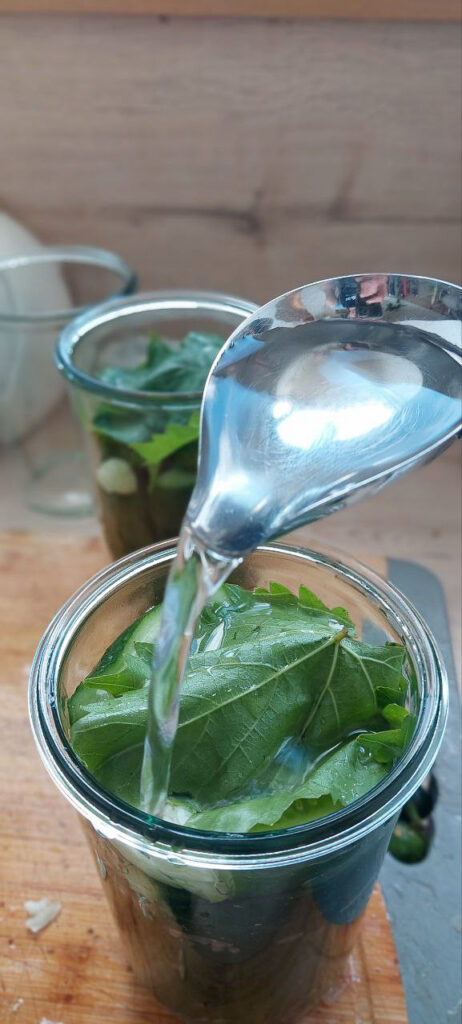 Pour brine into the jar