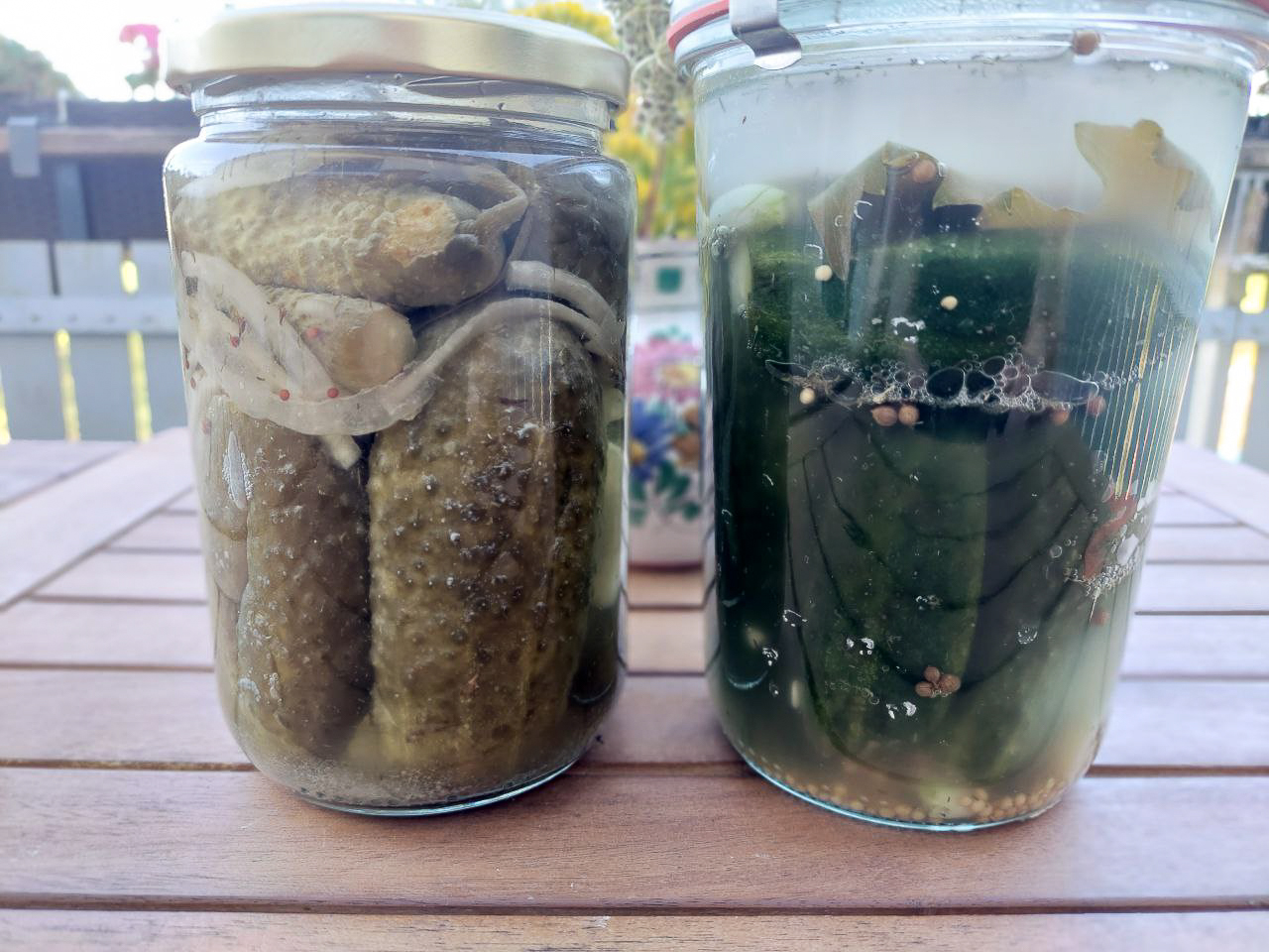 Pickled and fermented gherkins