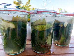 3 jars of fermented gherkins