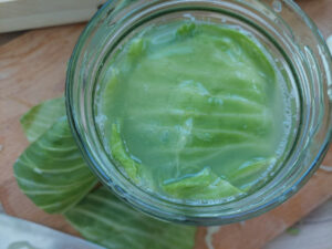 Homemade sauerkraut in a jar, covered with a cabbage leave