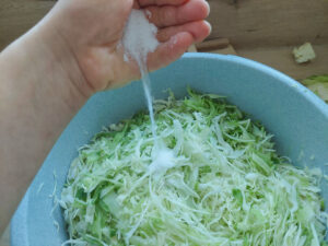 Adding salt to cabbage slices in a bowl