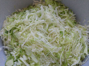 Cabbage slices in a bowl