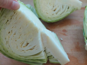 Cabbage quarter with the stem cut out