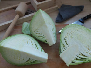 Halved and quartered cabbage head