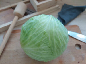 Cabbage head on wooden board with knife, kraut slicer and tamper in the background