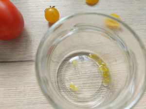 Tomato seeds in a jar