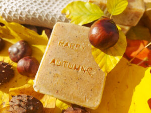 Bar of chestnut soap on autumn leaves with chestnuts around