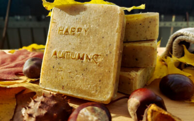 How to Make Chestnut Soap: Easy Homemade Recipe & Instructions