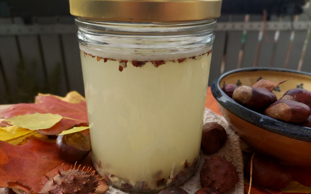 Homemade Chestnut Laundry Detergent: Simple, Sustainable and Free