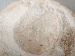 bubbly, risen yeast water in the middle of a flour well in a bowl