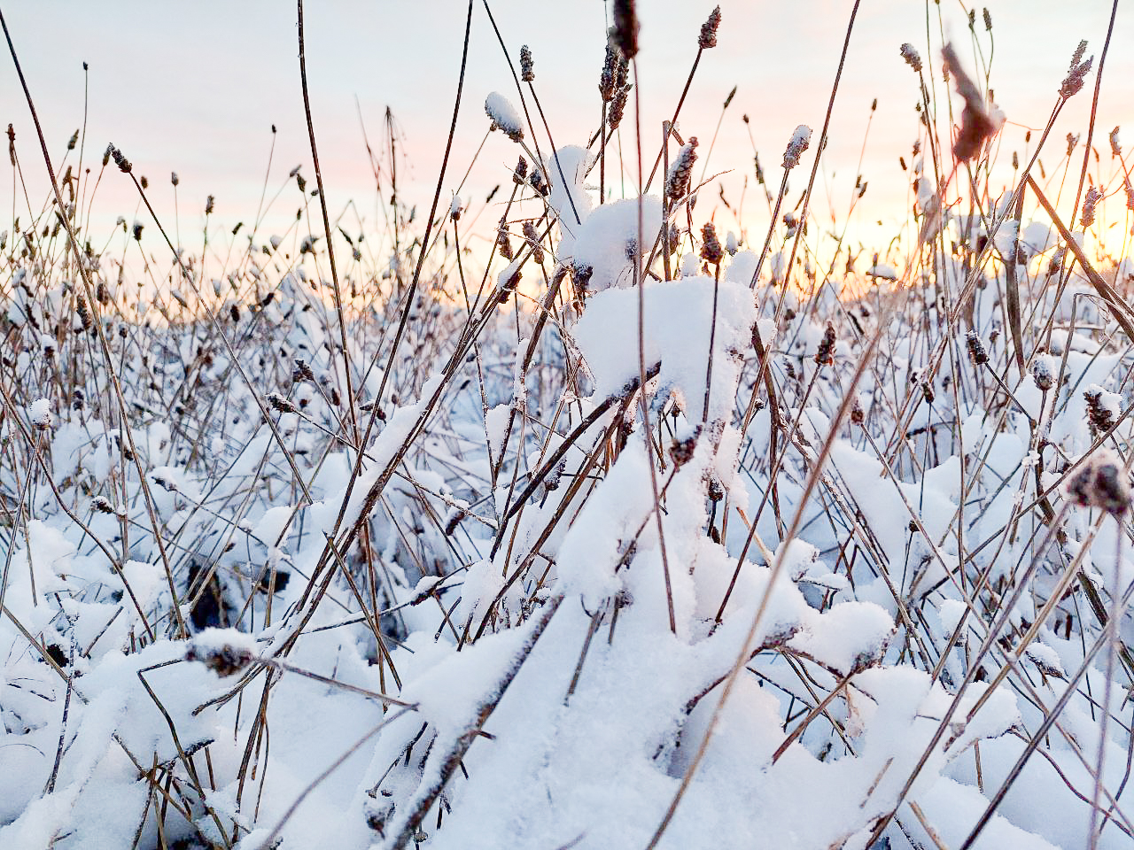 January reflections: