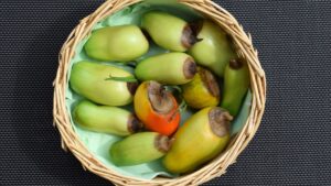 Pepper fruits with black end (blossom end rot)
