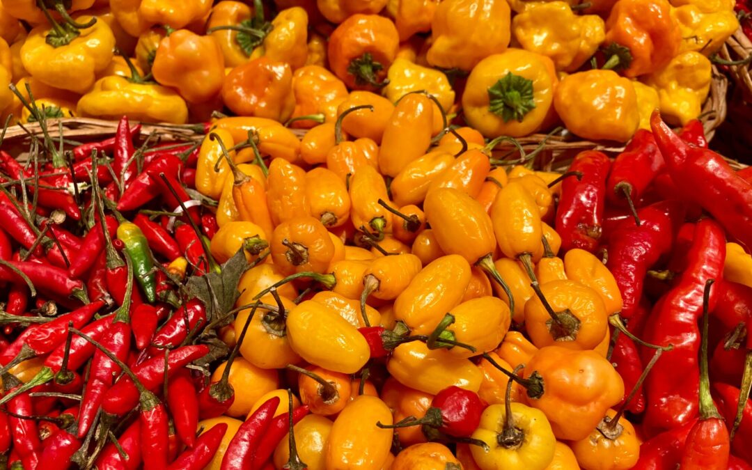 Red and yellow peppers and chillies